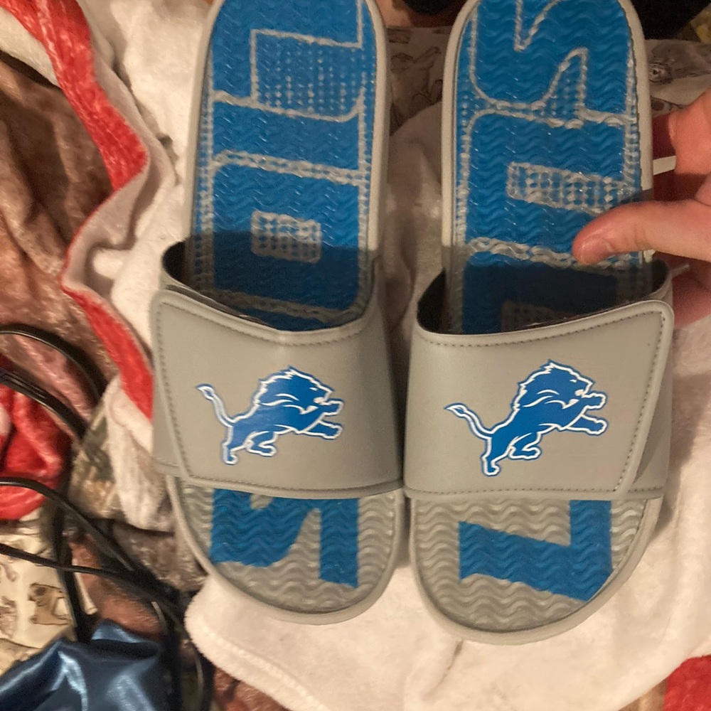NFL Detroit lions slides NEW
